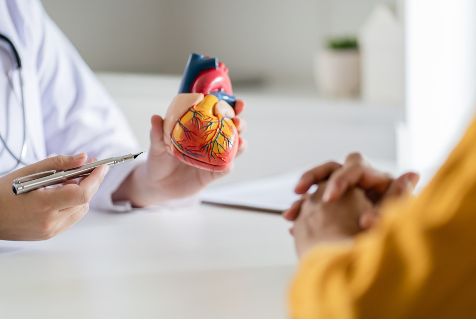 Studying the role of inflammation in heart&nbsp;disease